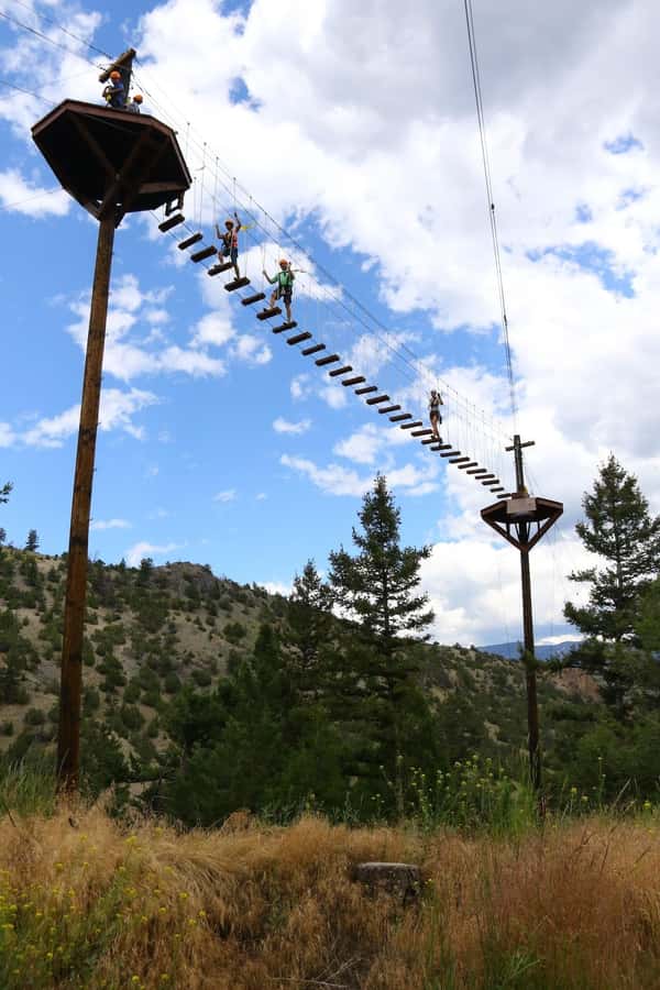 Gardiner: Guided Zipline EcoTour (3 hours) - Key highlights to look for