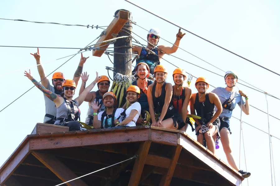 Gardiner: Guided Zipline EcoTour (3 hours) - The course: 4 zips, 2 adventure elements, and 50 feet of air