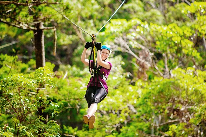 Gold Coast Canyon Flyer Zipline Tour - Quick Hits