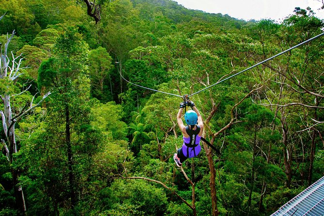Gold Coast Canyon Flyer Zipline Tour - Gold Coast Canyon Flyer Zipline: What This Tour Is Really About
