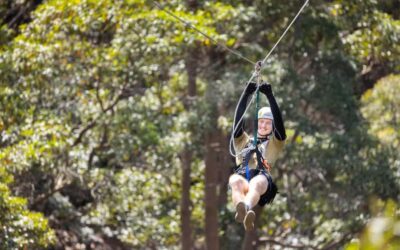 Gold Coast: Tamborine Mountain Canyon Flyer Zipline Tour - The 3-Hour Ride: What Your Time Actually Looks Like