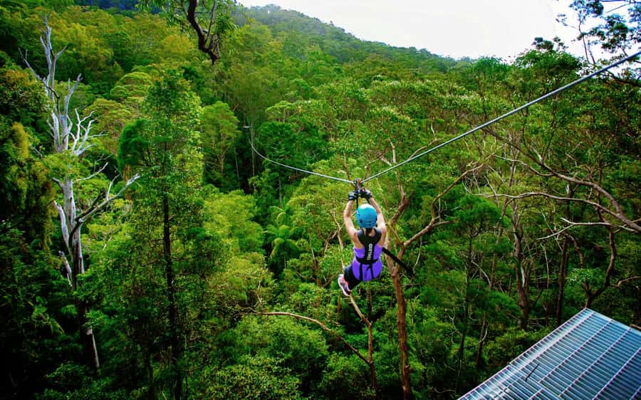 Gold Coast: Tamborine Mountain Canyon Flyer Zipline Tour - Getting There: Finding Thunderbird Park From Gold Coast and Brisbane