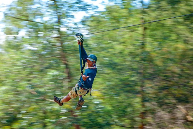 Haleakala 6 Line Zipline Adventure - Key Things to Know Before You Go