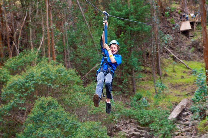 Haleakala 6 Line Zipline Adventure - Why This Haleakalā Zipline Feels Worth It