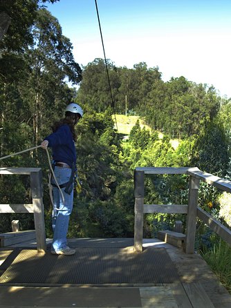 Haleakala 6 Line Zipline Adventure - The Main Event: Six Ziplines Over Canyons and Eucalyptus