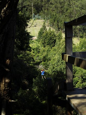 Haleakala 6 Line Zipline Adventure - The View: Why Haleakalā’s Slopes Are the Perfect Backdrop