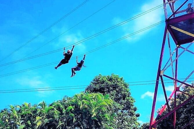 Half Day Tour in Rainforest Zipline Park with Transportation - Key takeaways before you go