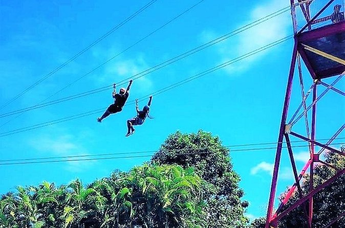 Half Day Tour in Rainforest Zipline Park with Transportation - What to wear and bring: the practical stuff that keeps your trip smooth