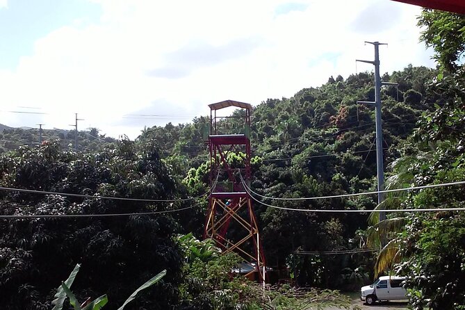 Half Day Tour in Rainforest Zipline Park with Transportation - Who this half-day zipline suits best