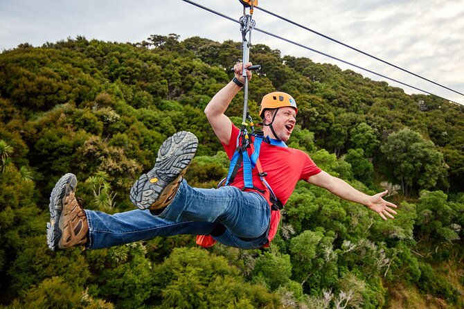 Half Day Zipline Adventure in Kaikoura - Price and value: what $123.49 buys you in Kaikoura