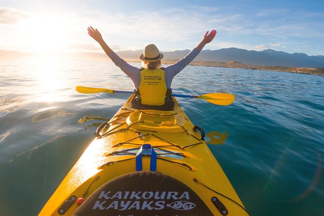 Half Day Zipline Adventure in Kaikoura - Practical tips so you enjoy every zip
