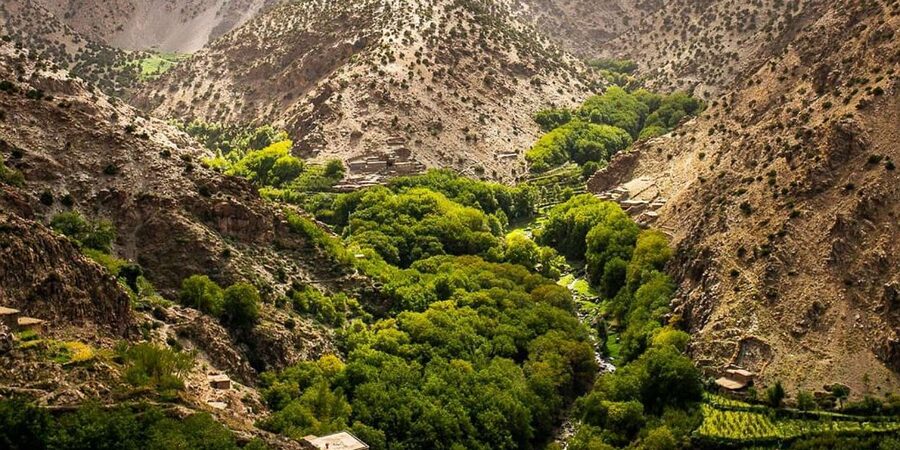 Half day Zipline out of marrakech city with breakfast - Above the pine forest: four zip-lines and two bridges
