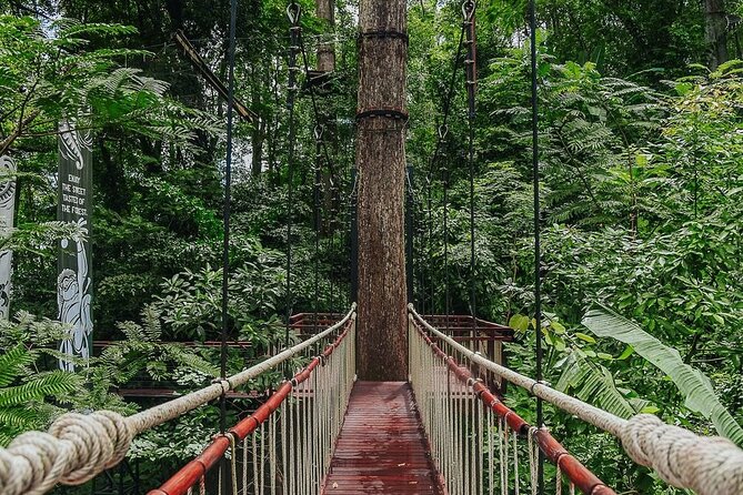 Hanuman World Zipline & Skywalk Phuket - Skywalk bridges: treetop views plus a myth-and-meal vibe