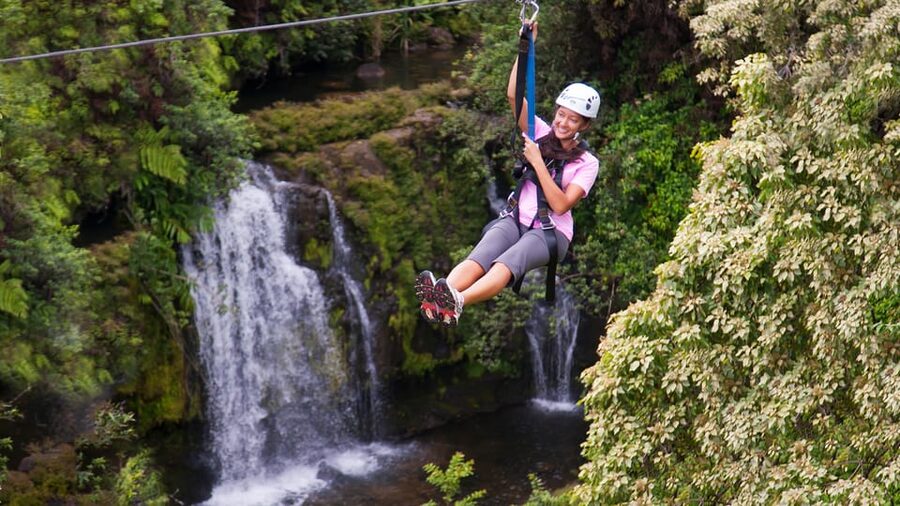 Hawaii: Big Island Hilo Zipline Tour - What about the groups and the pace?
