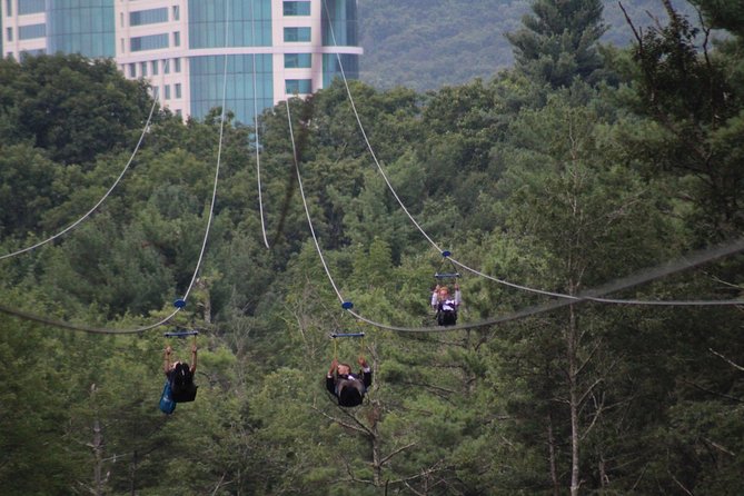 HighFlyer Zipline at Foxwoods - Should you book HighFlyer Zipline at Foxwoods?