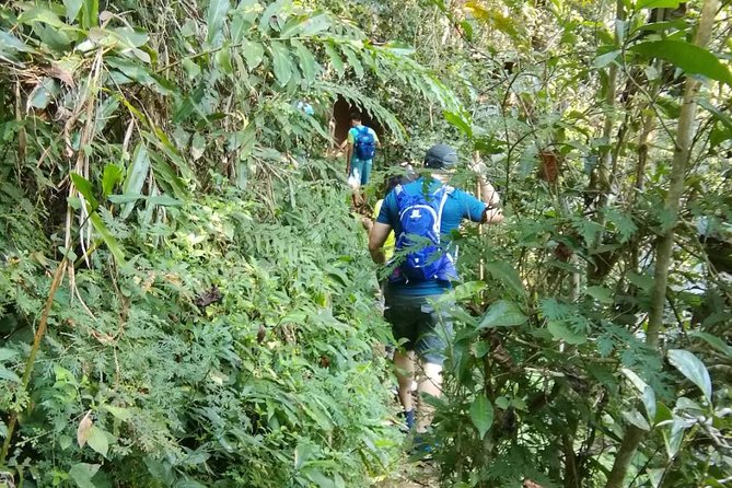 Hiking and Zipline Private Tour from Chiang Mai +Karen Village - A Private Chiang Mai Jungle Day: what you’re really buying