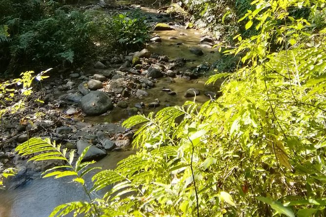 Hiking and Zipline Private Tour from Chiang Mai +Karen Village - Mae Sa Waterfall: about an hour to relax, walk, and reset