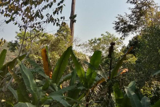 Hiking and Zipline Private Tour from Chiang Mai +Karen Village - Hiking and ziplining through Mae Taeng River country