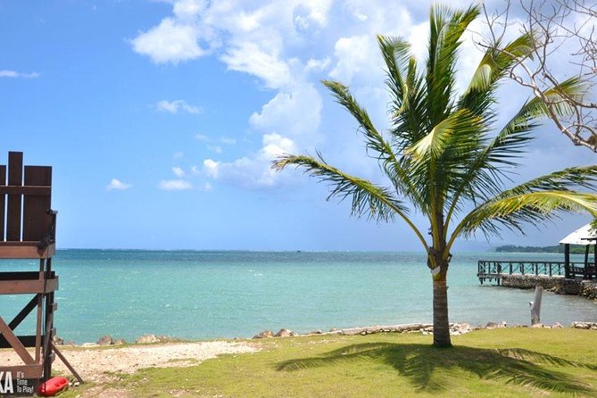 Horseback Riding/Zipline Combo Tour at Chukka Ocean Outpost with Transportation - Power snorkel at sea: what you get in the first 2 hours