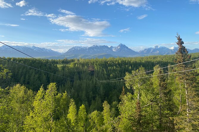 Horseback & Zipline Adventure in Alaska Mountains includes Lunch - Fitness Level and the Weight Limit Detail You Should Not Ignore