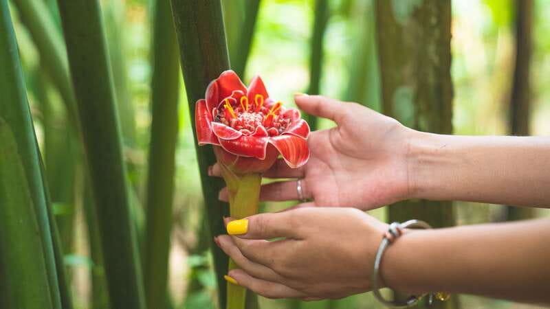 Huatulco: Nature Park with Fruit Tasting & Optional Zipline - 6 Key Points You’ll Care About