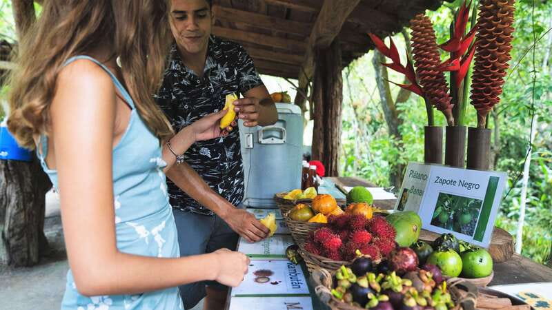 Huatulco: Nature Park with Fruit Tasting & Optional Zipline - Planning Your Day in Huatulco’s Agro-Ecotourism Park