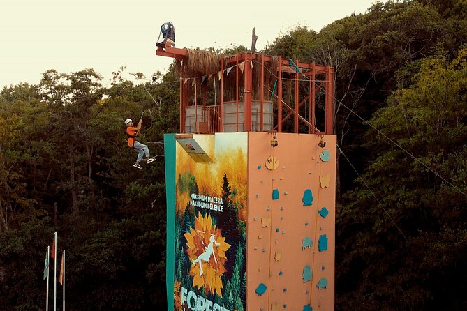 Istanbul Quad Bike Safari with Optional Zipline Experience - Getting to Belgrad Forest: Meeting Point and Timing That Matter
