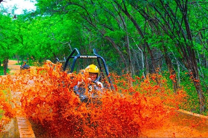 Jamwest ATV Off-Road Adventure & Zipline Combo in Negril - Price and value: what $169 really buys you