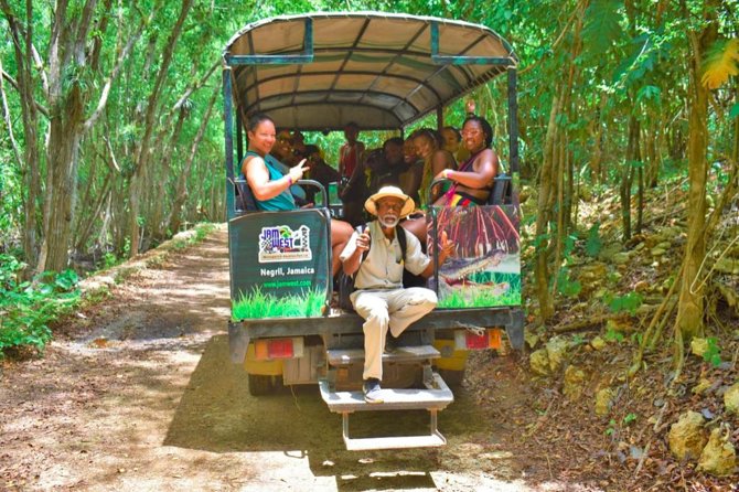 Jamwest Negril Zipline and JamCulture Combo - Safety Training at Jamwest: What Happens Before You Fly