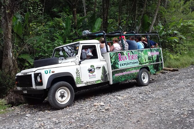 Jeep & Zipline Adventure in St. Lucia - Ziplining Through the Rain Forest: safety gear and what to look for