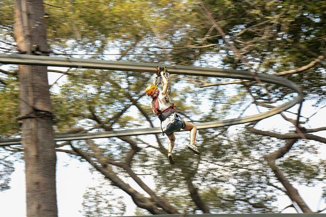 Jungle Flight Zipline Adventure From Chiang Mai - Key Highlights You Should Care About