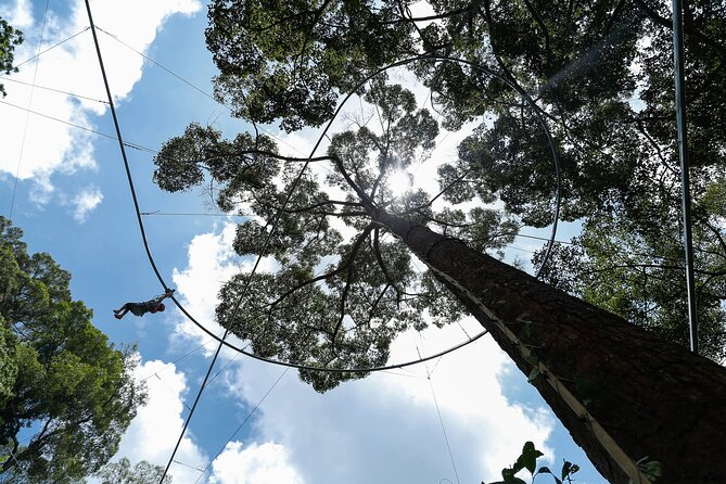 Jungle Flight Zipline Adventure From Chiang Mai - The Thai Buffet Lunch: Fuel That Actually Helps