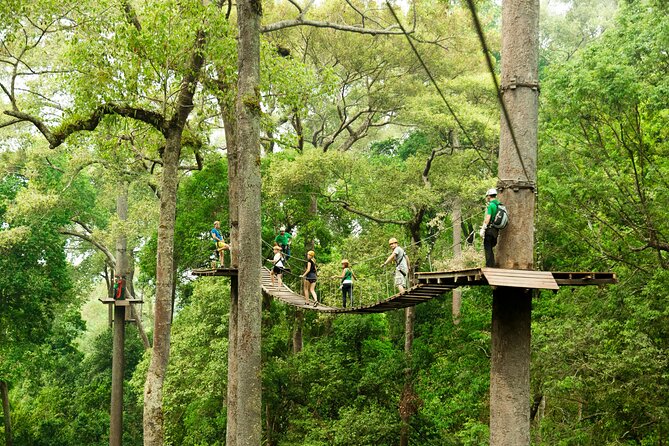 Jungle Flight Zipline Roller Coaster - Jungle Flight Overview: What This 6-Hour Day Really Feels Like