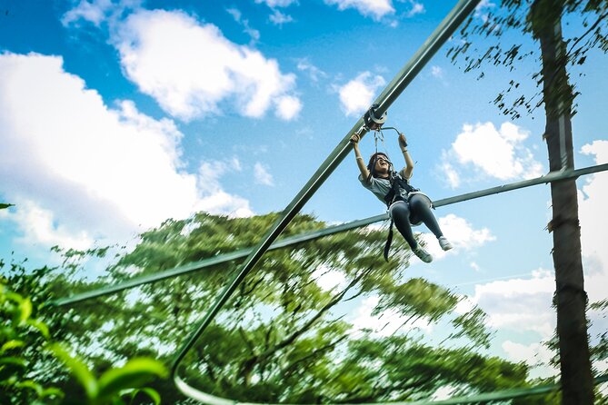 Jungle Flight Zipline Roller Coaster - The 1000-Year-Old Forest Start: Gear Up and Listen Close