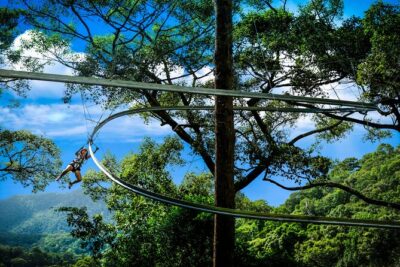 Jungle Flight Zipline Roller Coaster - Getting to the Jungle from Chiang Mai: Pickup, Timing, and Your Buffer