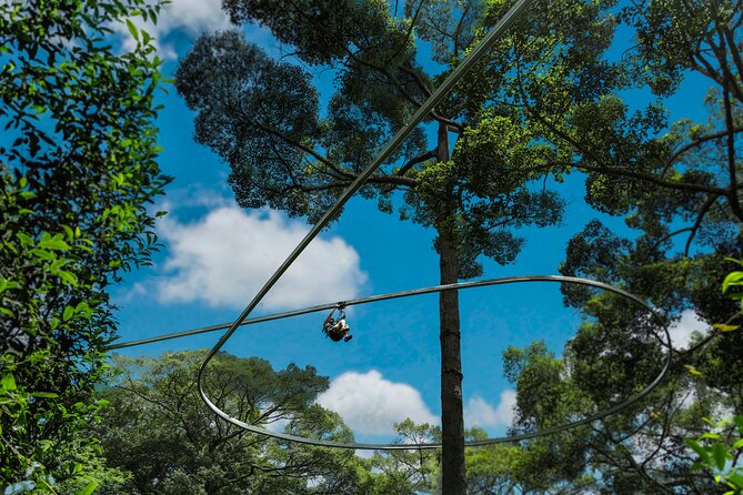 Jungle Flight Zipline Roller Coaster - Photos, Gear, and Phone Security: Small Prep That Pays Off