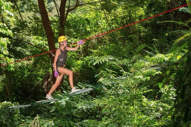 Jungle Xtreme Adventures and Zipline - The Treetop Course: Walkways, Nets, Rope Bridges, and Ziplines