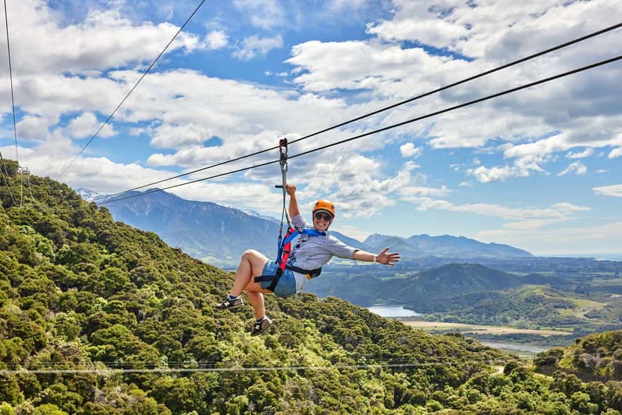 Kaikōura: Zipline and Native Forest Adventure Trip - Who Should Book This Kaikōura Zipline and Native Forest Tour