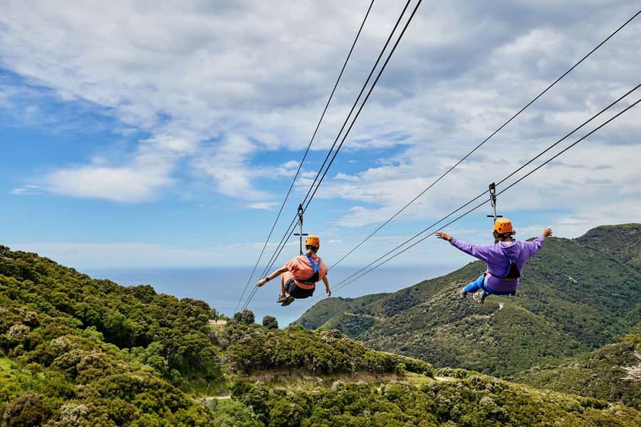 Kaikōura: Zipline and Native Forest Adventure Trip - Meeting Up at EcoZip Adventures HQ and the Start of Your Afternoon
