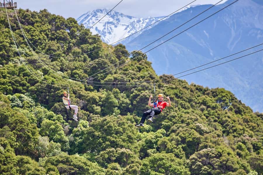 Kaikōura: Zipline and Native Forest Adventure Trip - Native Forest Trail Time: Getting Your Bearings Before You Fly