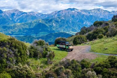 Kaikōura: Zipline and Native Forest Adventure Trip - The Drive Out: Kaikōura Airfield to Rakanui Station on a Working Farm