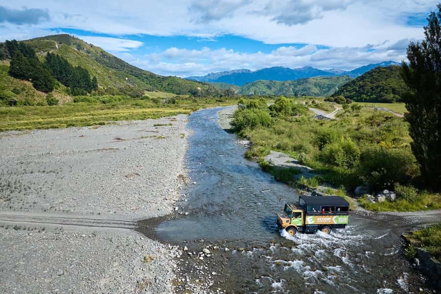 Kaikōura: Zipline and Native Forest Adventure Trip - Conservation Experience and Seasonal Tree Planting Moment