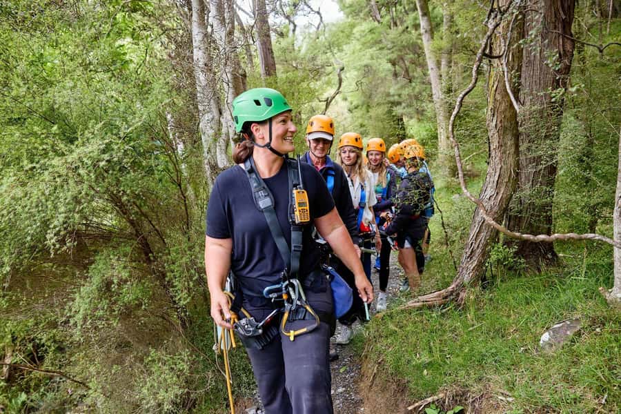 Kaikōura: Zipline and Native Forest Adventure Trip - What Safety Really Looks Like on a Zipline Course Like This