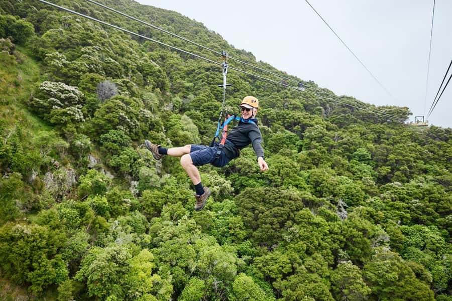 Kaikōura: Zipline and Native Forest Adventure Trip - Price and Value: Is $118 Worth It for a 3.5-Hour Adventure?