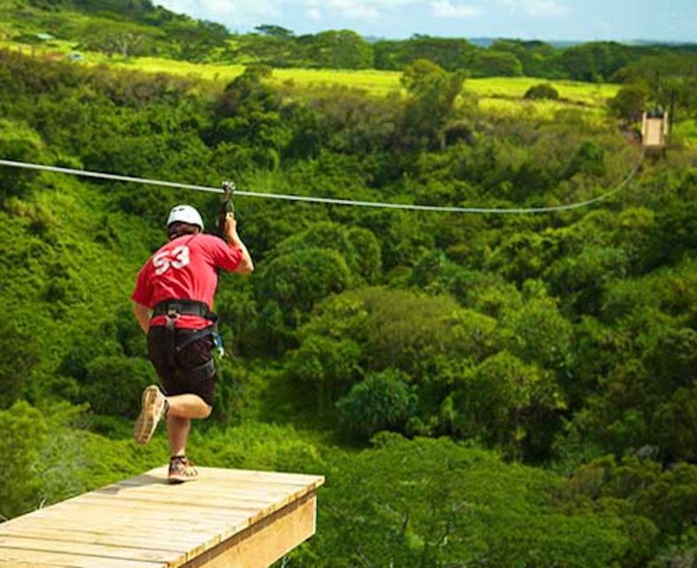 Kauai: Zipline Adventure - Key Things to Know Before You Go