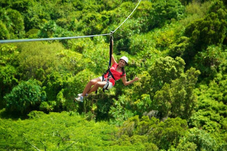 Kauai: Zipline Adventure - From Poipu Shopping Village to the Course in a 4x2 Van