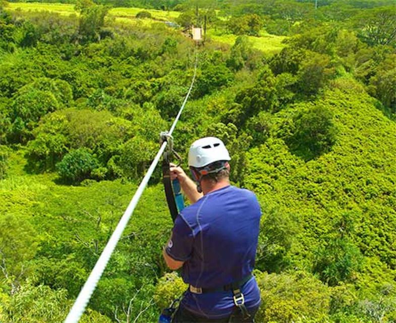 Kauai: Zipline Adventure - Should You Book This Kauai Zipline Adventure?