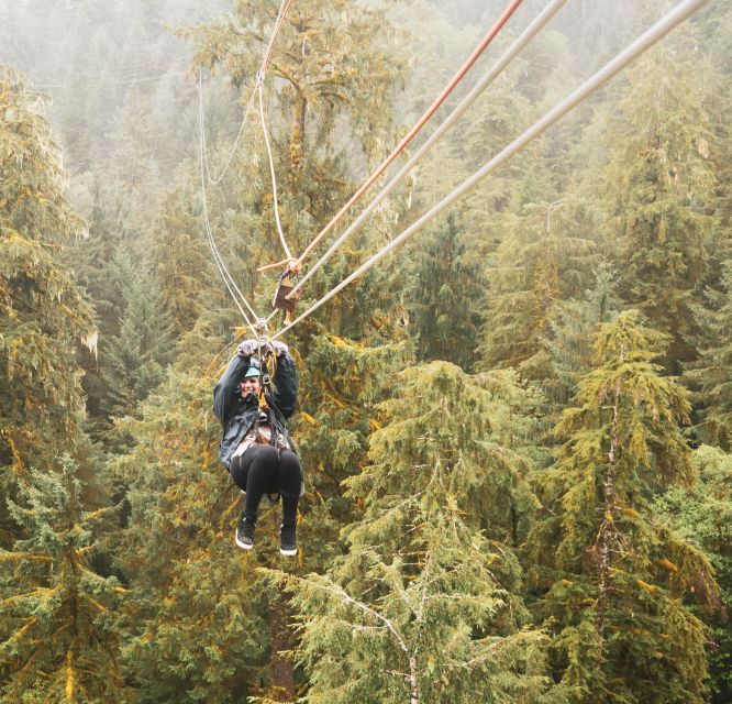 Ketchikan: Rainforest Canopy & Zipline Adventure - Price and Value: Is $225 Worth It for 210 Minutes?