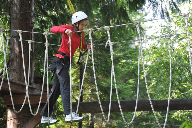 Ketchikan Shore Excursion: Rainforest Canopy Ropes and Zipline Adventure Park - Getting There From the Port: The Rock Meeting Point That Actually Works
