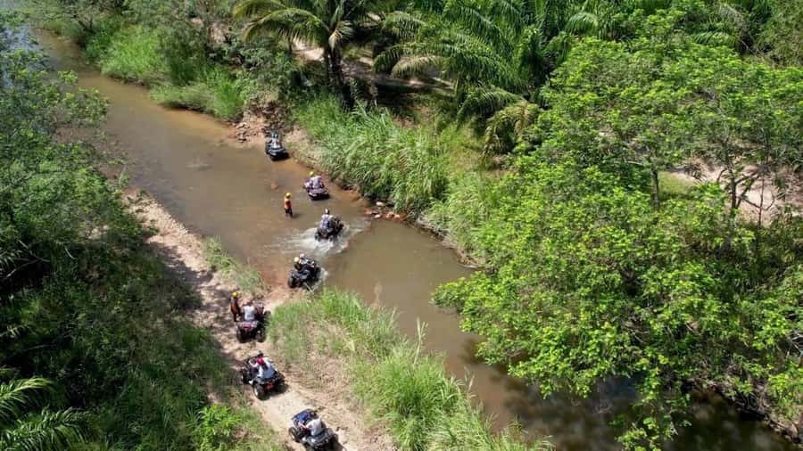 Khao Lak: White Water Rafting, Zipline and Elephant Feeding - Who should book this tour, and who should skip it